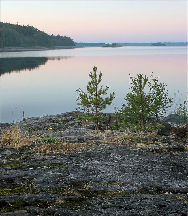 photo "***" tags: landscape, summer