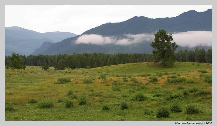 фото "Алтайское утро" метки: пейзаж, путешествия, Европа, горы
