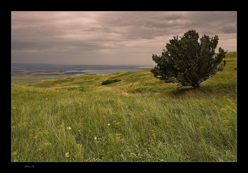 photo "***" tags: landscape, summer