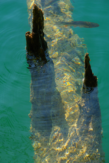 photo "***" tags: landscape, water
