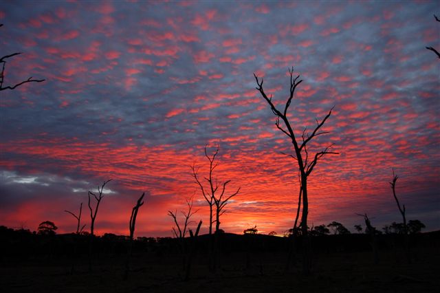 photo "Gwydir dreamtime" tags: landscape, sunset