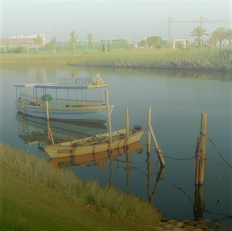 photo "River foggy..." tags: landscape, water