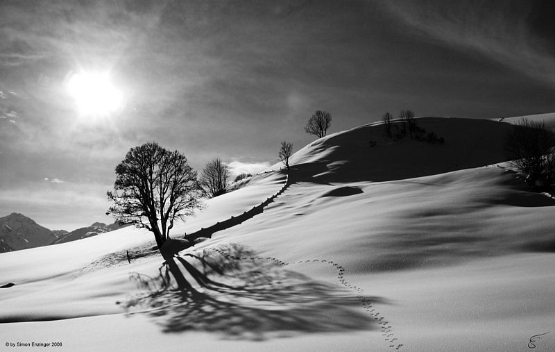 фото "trace the dog" метки: пейзаж, черно-белые, зима