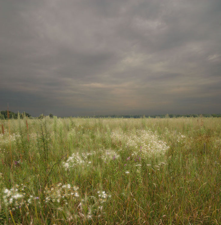 photo "***" tags: landscape, summer