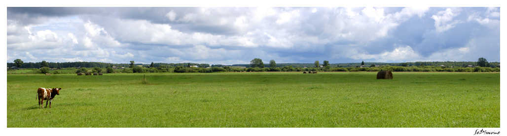 photo "***" tags: landscape, panoramic, summer