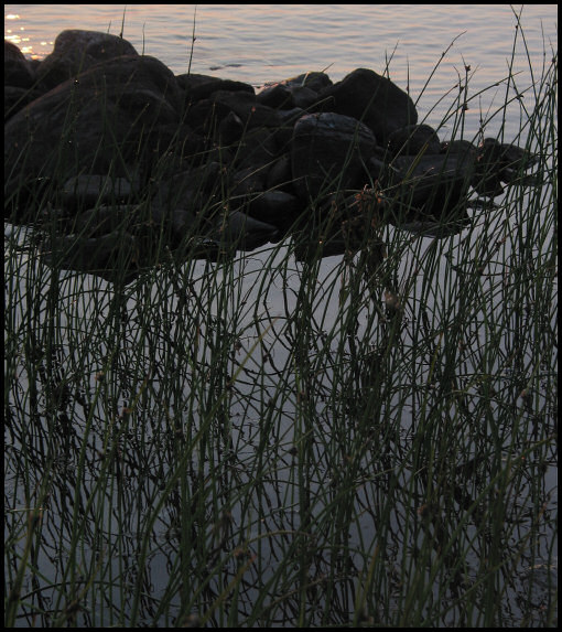 фото "dawn" метки: пейзаж, вода, закат