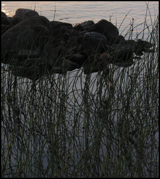 photo "dawn" tags: landscape, sunset, water