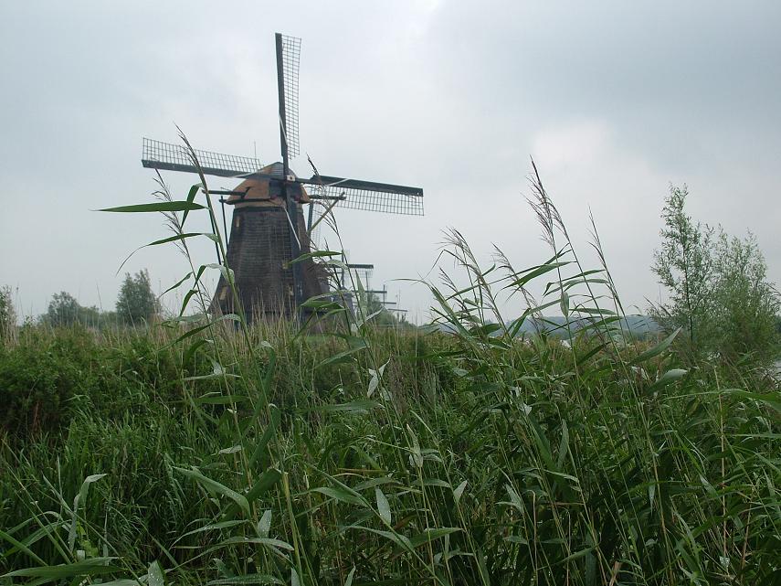 фото "Windmills" метки: пейзаж, лето