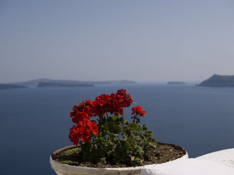 photo "***" tags: travel, landscape, Europe