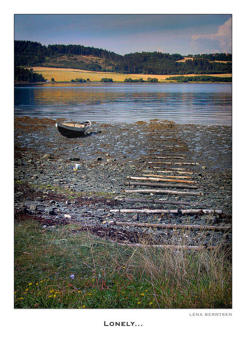 фото "Lonely" метки: пейзаж, лето