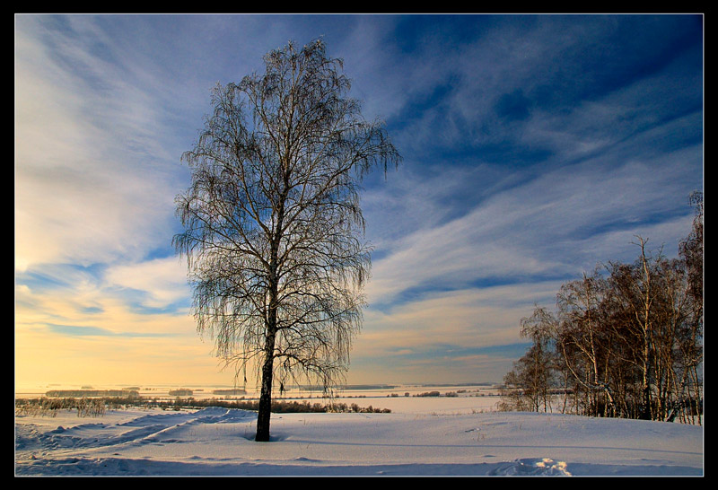 photo "Winter sky" tags: landscape, clouds, winter