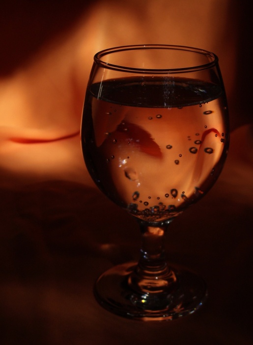 photo "***" tags: still life, misc., 