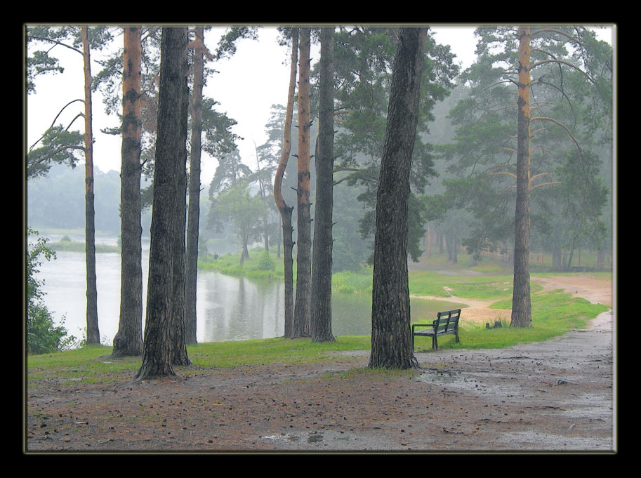 photo "Grief..." tags: landscape, water