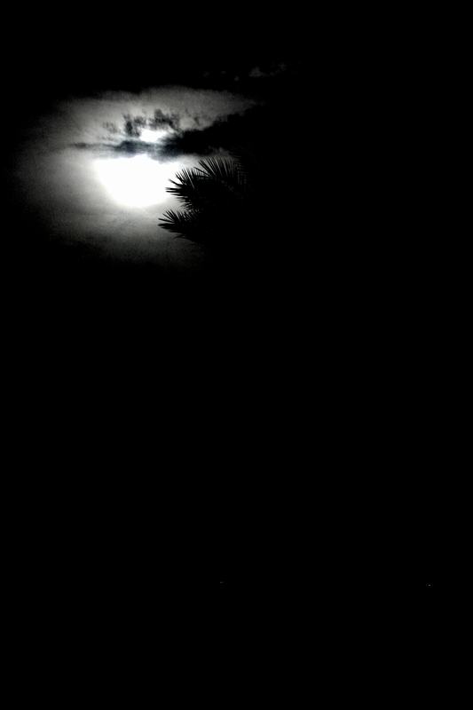фото "Sunny moon" метки: пейзаж, ночь
