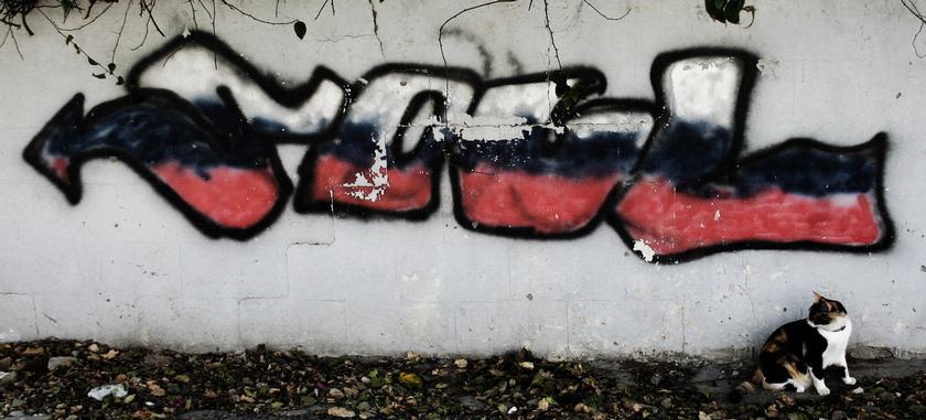 фото "puss" метки: , 