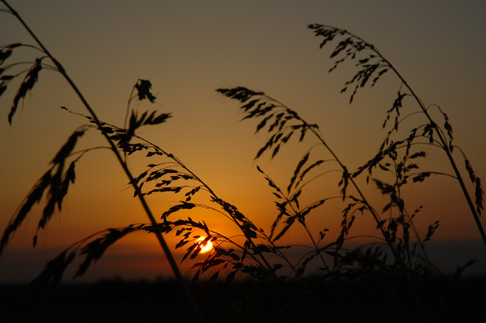 photo "Sunrise&wind" tags: landscape, night, sunset