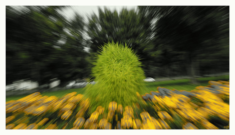 photo "I go on landing..." tags: nature, flowers