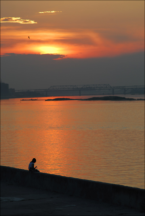 photo "lonely as the bird" tags: , 