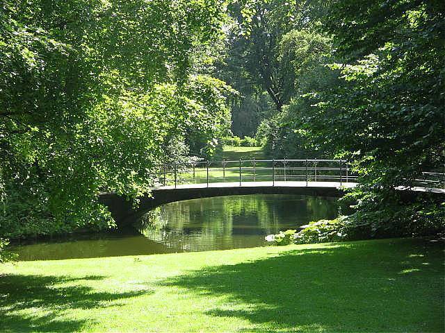 photo "Summer day." tags: nature, 