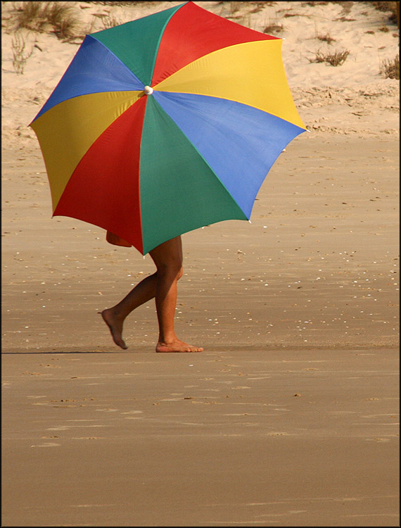 photo "Walking umbrella" tags: reporting, genre, 