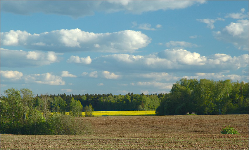 photo "May" tags: landscape, clouds, spring