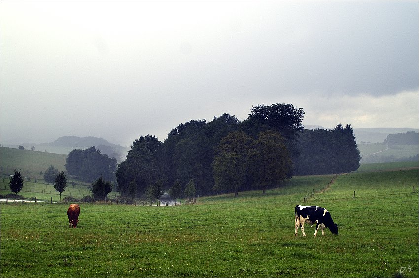 photo "***" tags: landscape, summer