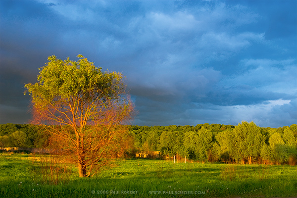 photo "10 Minutes before Storm" tags: landscape, nature, summer