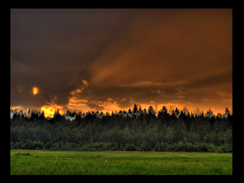 фото "Fire sky (небесный пожар)" метки: пейзаж, лес, лето