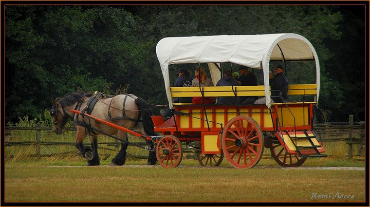 photo "old transport" tags: landscape, reporting, summer