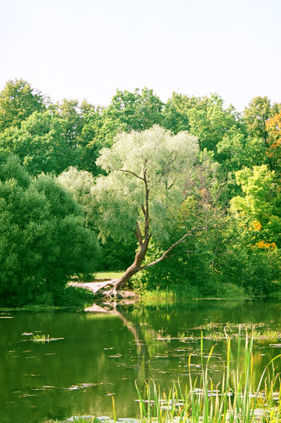 photo "***" tags: landscape, summer, water