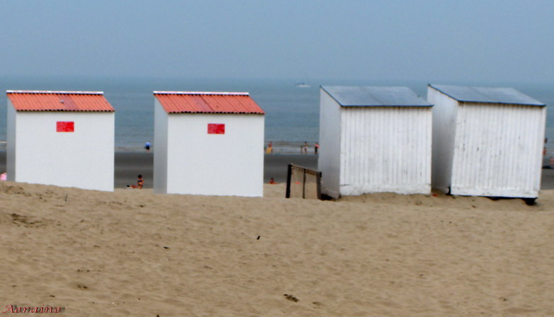 photo "Beach-games." tags: landscape, still life, summer