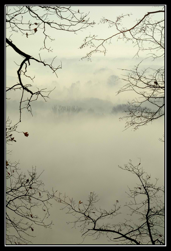 фото "Утро,Белый туман." метки: пейзаж, лето