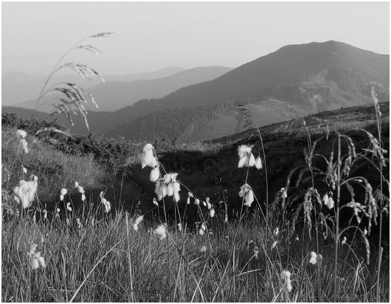 фото "Пряная сказка древних Карпат..." метки: пейзаж, черно-белые, горы