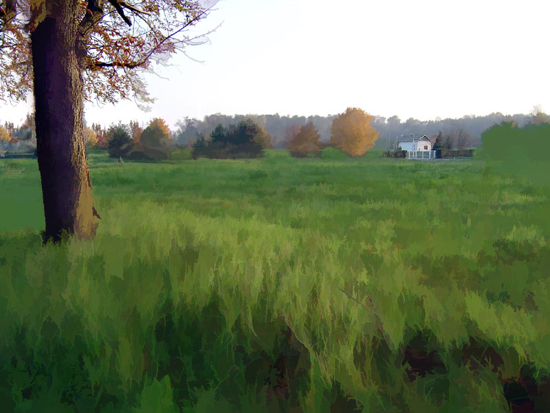 photo "White-House-Far-Away" tags: landscape, 