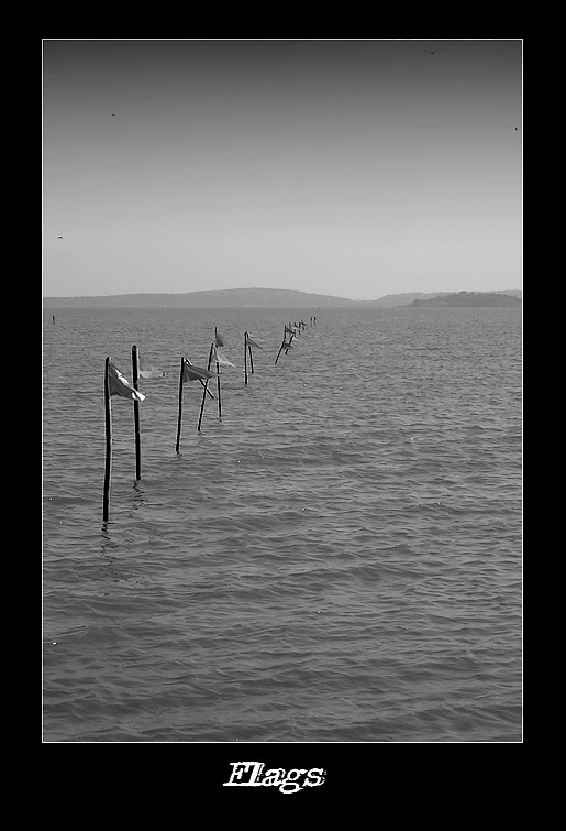 photo "Flags" tags: landscape, black&white, water