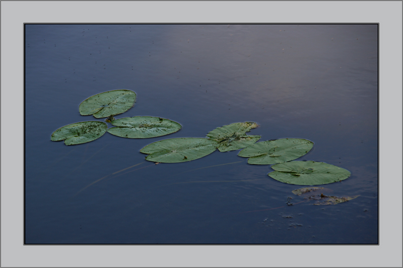 photo "***" tags: landscape, nature, water