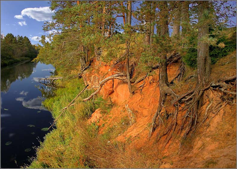 фото "Берег реки - Луга (верхнее течение)" метки: пейзаж, лес, лето