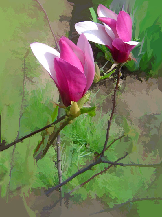 photo "Couple-in-Love" tags: nature, flowers