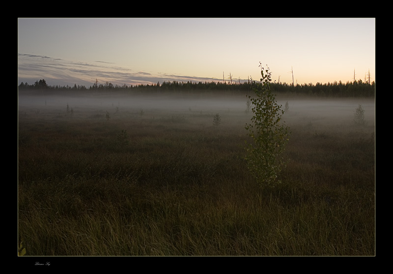 фото "Cold evening" метки: пейзаж, закат