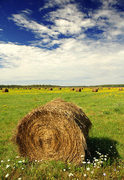 photo "hay hay it's saturday" tags: landscape, autumn, clouds