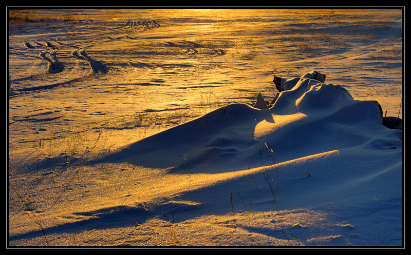 photo "Golden snow" tags: landscape, abstract, winter