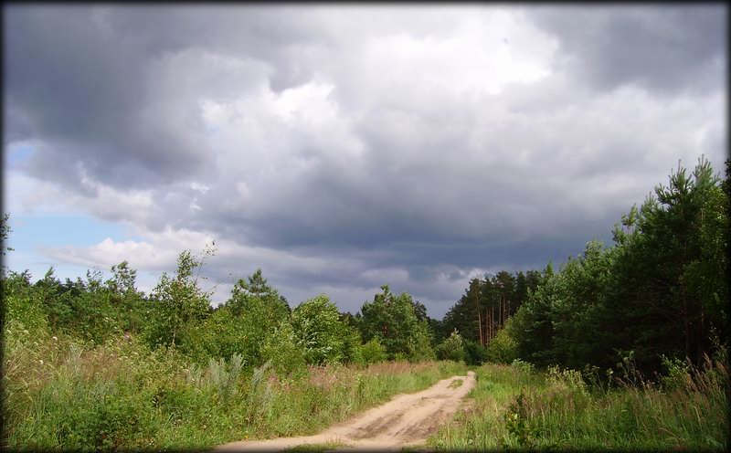 photo "Before a thunder-storm" tags: landscape, summer