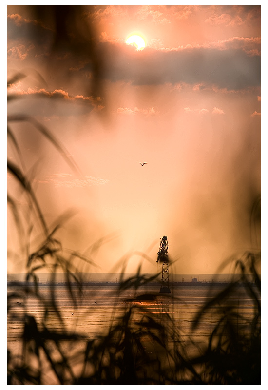 photo "Landscape in Warm Sunset" tags: landscape, travel, Europe