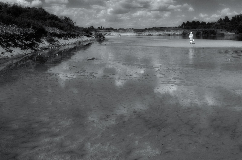 photo "***" tags: landscape, black&white, summer