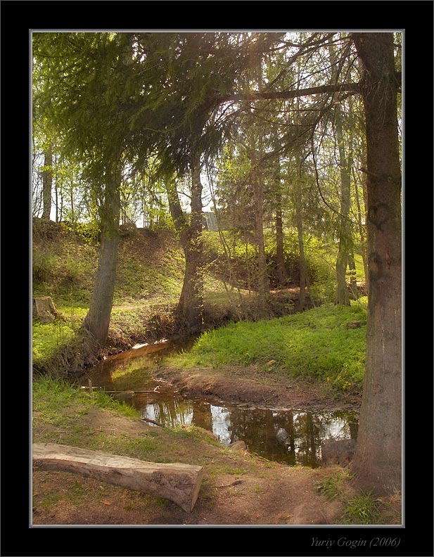 photo "***" tags: landscape, forest, summer