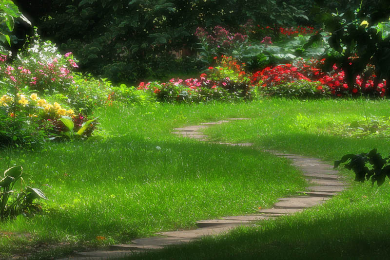 photo "Path in the childhood" tags: landscape, city, 