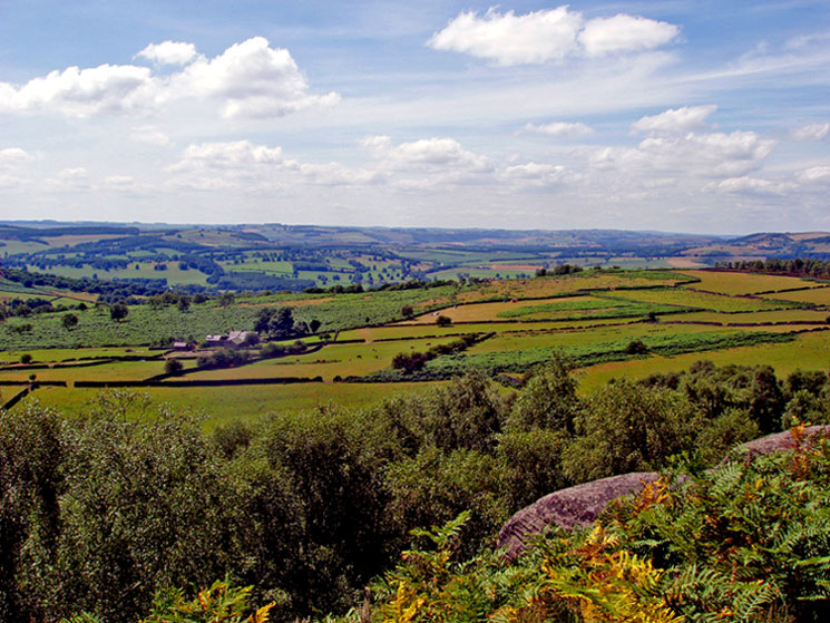 photo "Farm and fields" tags: landscape, 