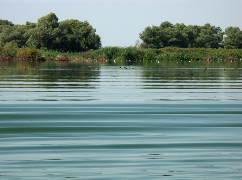 фото "Bird land" метки: пейзаж, вода