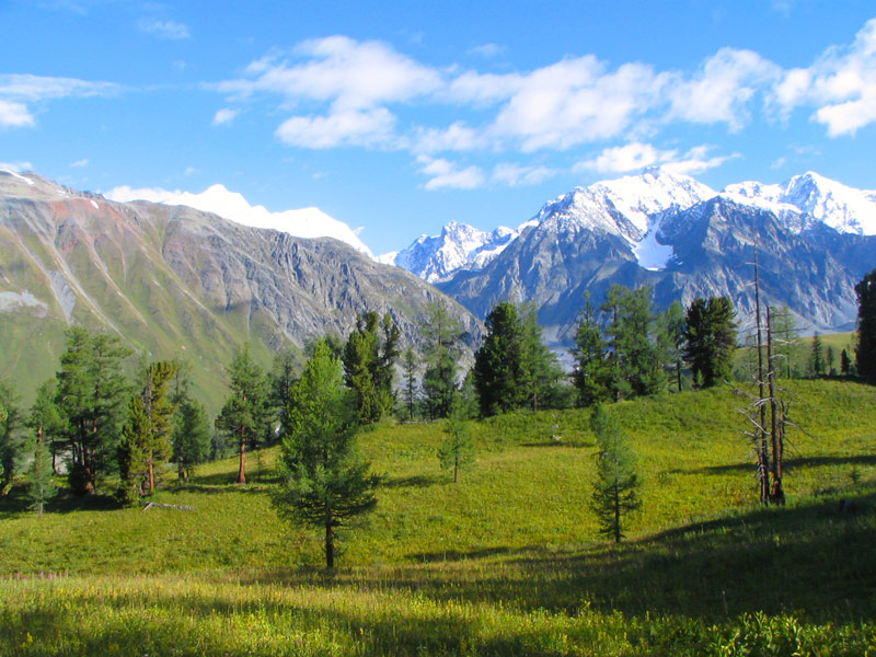 Берель горный Алтай фото