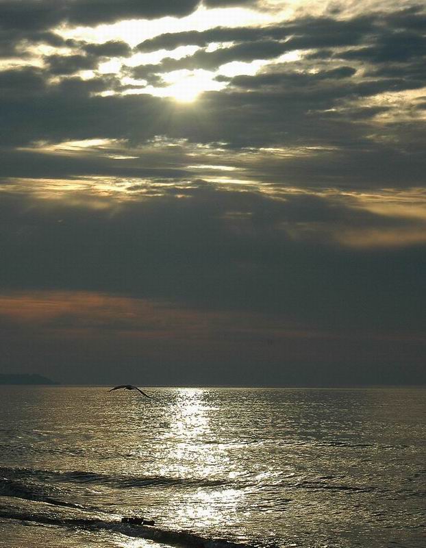 photo "After a storm" tags: landscape, water
